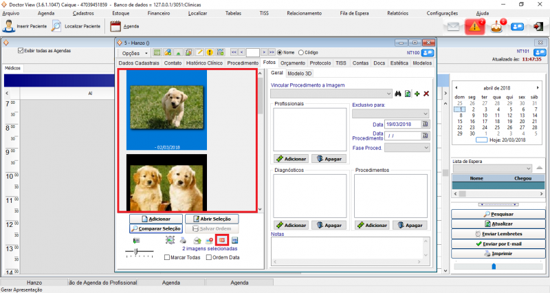 Arquivo:Apresentação 1.png