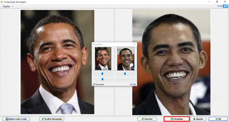 Arquivo:Morping 2.png